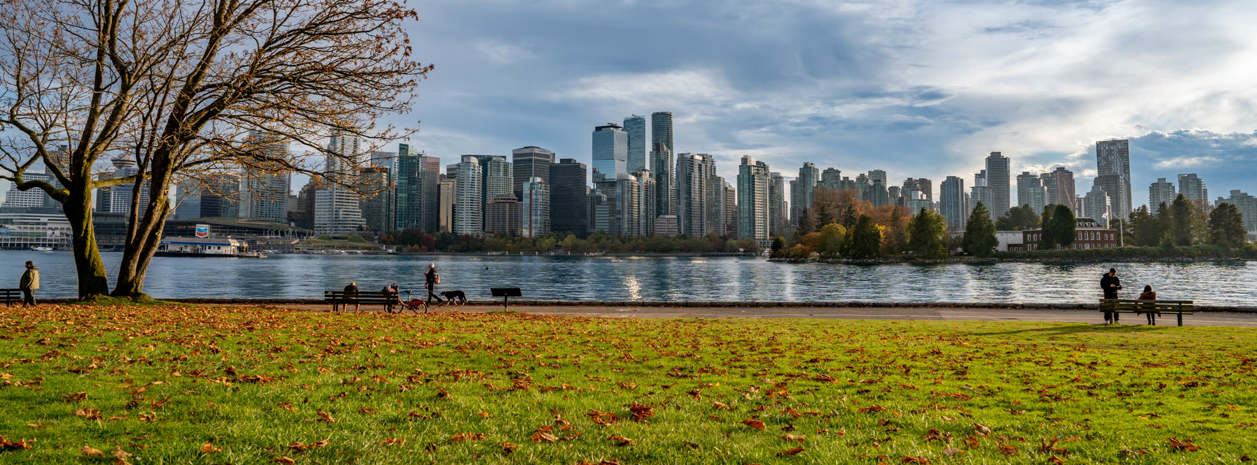 Vancouver View